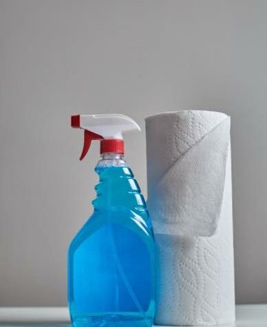 Make the cleaning solution 